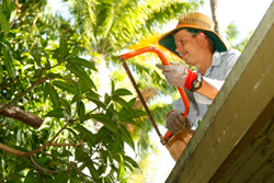 Trim trees to prevent electrical interference