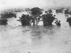 1887_flood_Brisbane_city