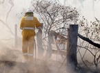 Tell us about bushfires in your area